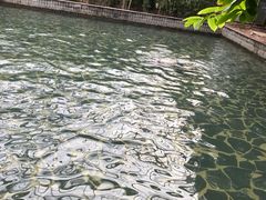 -龙达温泉生态城