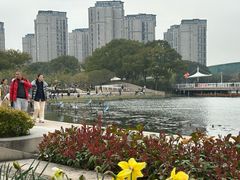 -新江湾城公园