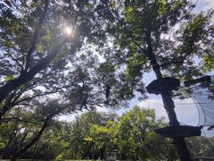 -WeLope紫金山探险公园