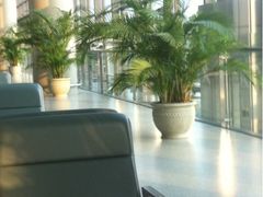 -虹桥国际机场-2号航站楼停车场