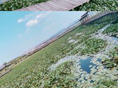 -处女泉风景名胜区