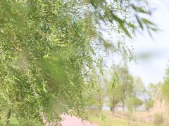 -长兴太湖图影湿地文化园