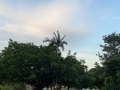 -东莞植物园