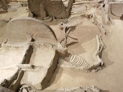 -洛阳周王城天子驾六博物馆