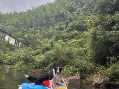 -安吉龙王山峡谷漂流