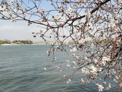 -颐和园