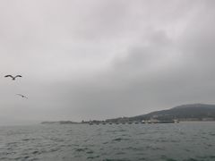 -刘公岛景区