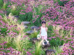 -汉长安城未央宫国家考古遗址公园