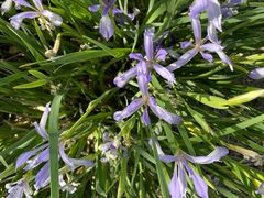 -天津东丽湖风景区