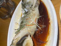 -大鸽饭(马王堆店)