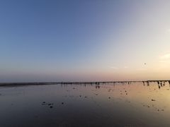 -奉贤海滩