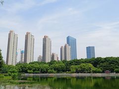 -后襄河公园