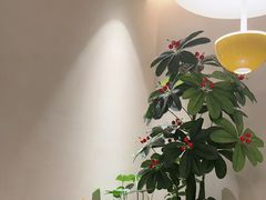 -Aqua Oasis 水天堂(太湖中心mall店)