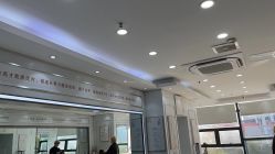 -镁连社·美联社