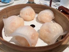 金悦虾饺皇-金悦轩海鲜酒家(拱北店)