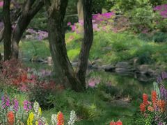 -上海共青森林公园