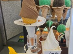 -野人先生Gelato(上海长宁龙之梦店)