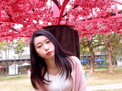 -广东花都香草世界旅游度假区