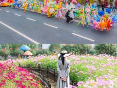 -荷兰花海