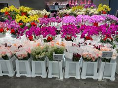 -盒马X会员店(王府井奥莱UP TOWN店)