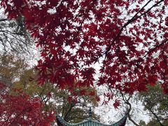 -岳麓山风景名胜区