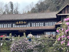 -峨眉山风景名胜区