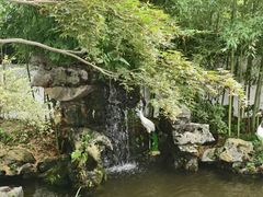 -上海醉白池公园