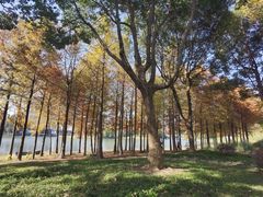 -尚贤河湿地