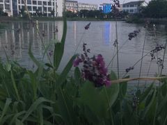 -苏州工学院(东南校区)