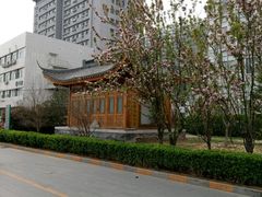 -中国中医科学院望京医院(院本部)