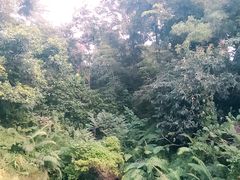 -聚龙山公园