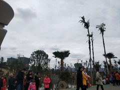 -枫香湖儿童公园