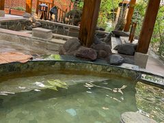 -汉拿山温泉度假酒店