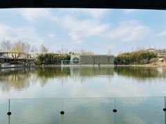 -春晖园度假酒店温泉