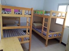 -优缇多格专业宠物美容师培训学校