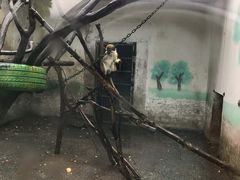 -无锡动物园·太湖欢乐园