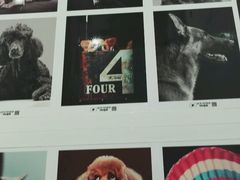 -谐和益家动物医院·免疫绝育·血液透析·宠保定点医院(高新伊藤分院)