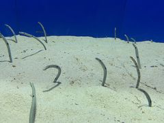 -上海海洋水族馆