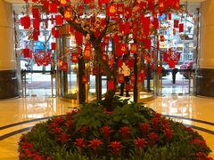 -天怡豪生大酒店-怡园中餐厅(枣山路店)