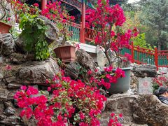 -红螺寺