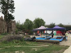 -秀丽东方