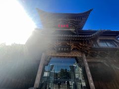 -叶叶菩提(旗舰店)