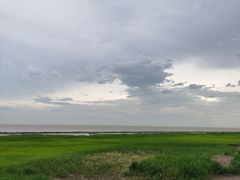 -南汇嘴观海公园