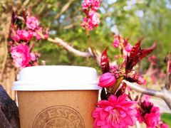 -阿什卡咖啡馆ESSCA COFFEE(塔里木石油宾馆店)