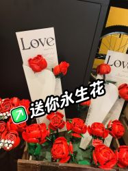 -乐高授权专卖店(济南万象城店)