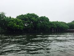 -西湖游船