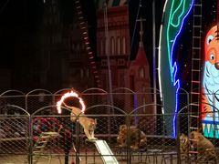 -俄罗斯国家大马戏团