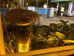 -探窝·竹笙椰子鸡(杨箕店)