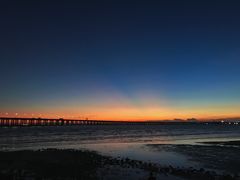 -宝安西湾红树林湿地公园