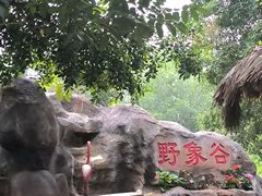 -野象谷景区